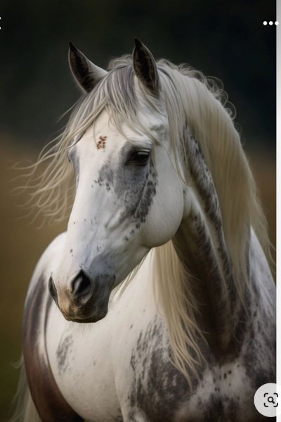 24cbc27b535b7ae51627502822f2ceee