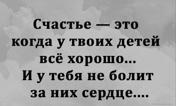 file_91843866