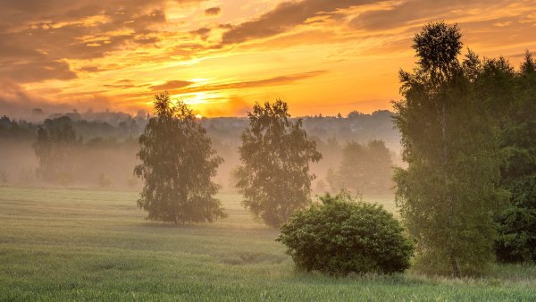 file_97140835