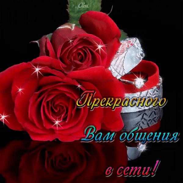 IMG 20161109 102210 40