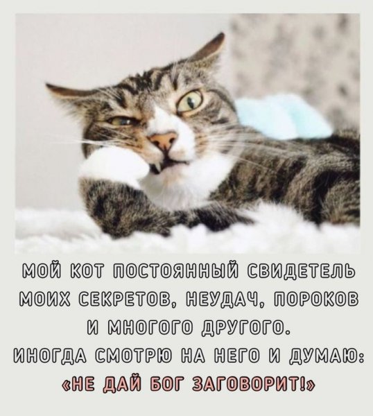 c1cb9e43e227b32edf4b700f8554