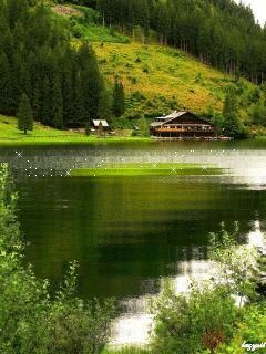 file_69605921