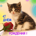 С Днем Рождения