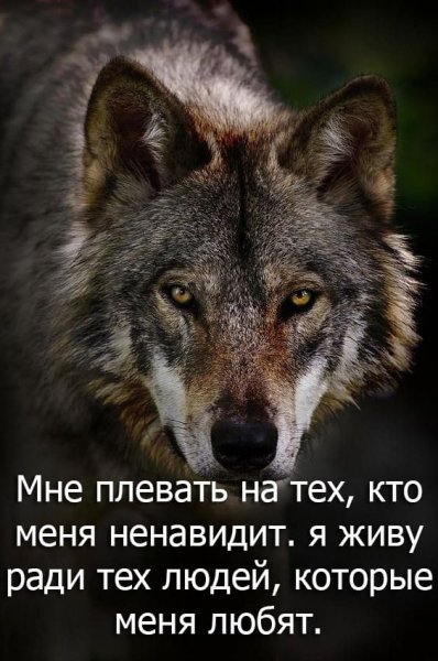 Я живу