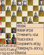 Шахматы Mobile