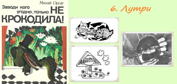6. ЛУТРИ
