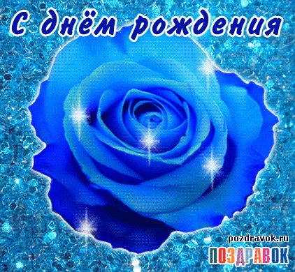 kartinka-den-rozhdeniya-roza-sinyaya