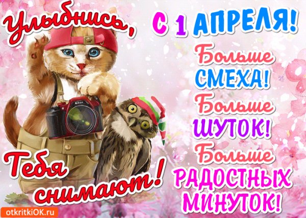 file_93019475