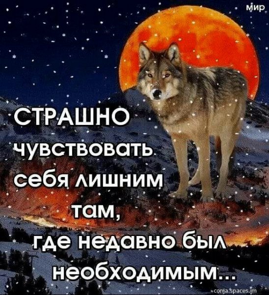 file_101511891