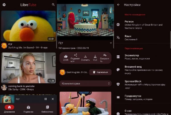 LibreTube v0.6.0