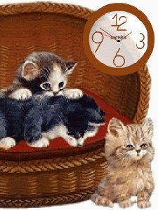 Kitty