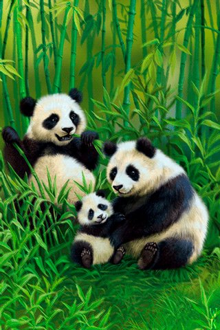 file_81259808