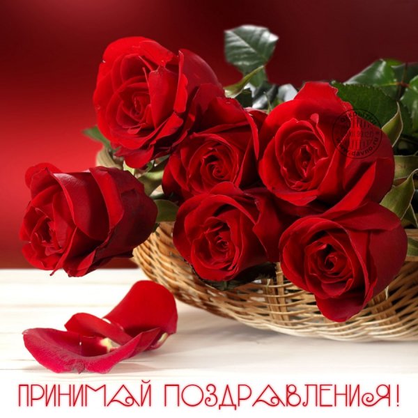С днём рождения! Принимай поздравления!