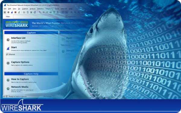 Wireshark-4.6.4-x64