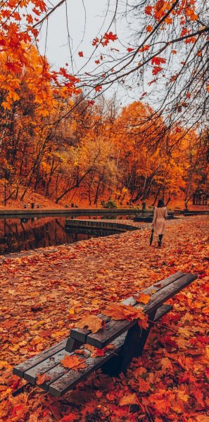 file_103282243