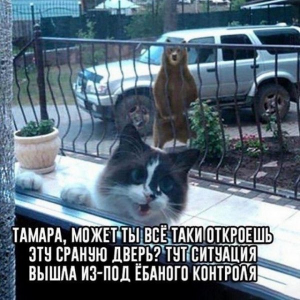 file_103253957