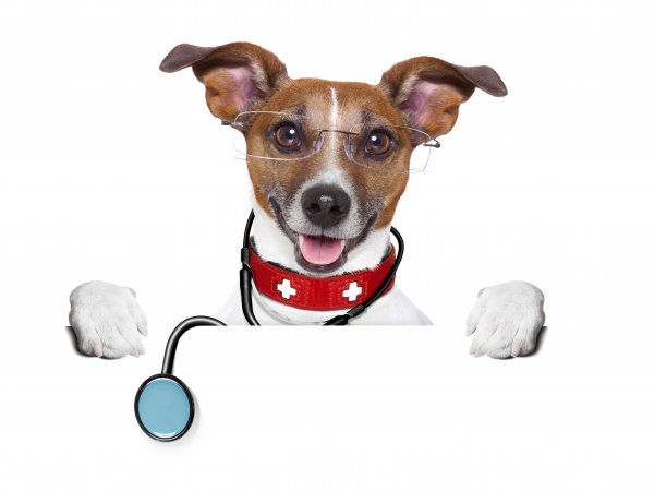 Shutterstock 155977511