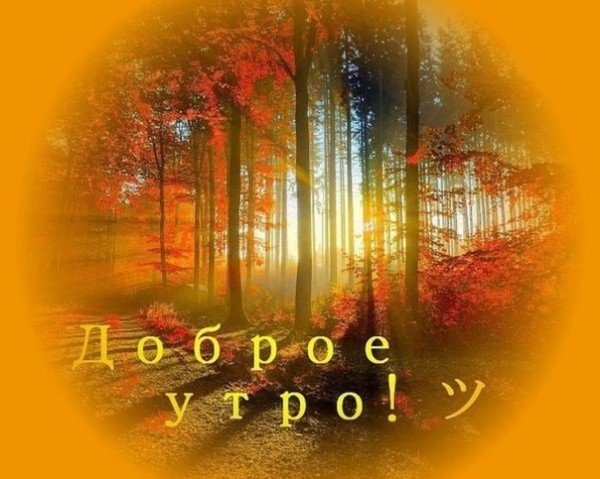 file_95066126