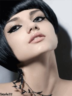 file_81706665