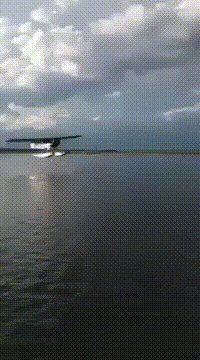 gifs 23