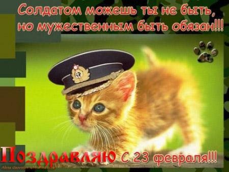 С 23 (6)