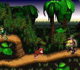 Donkey Kong Country