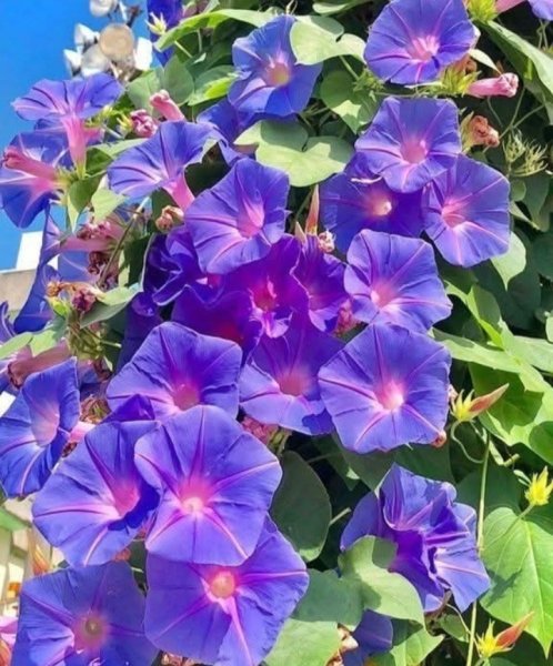 IMG 20250826 231601