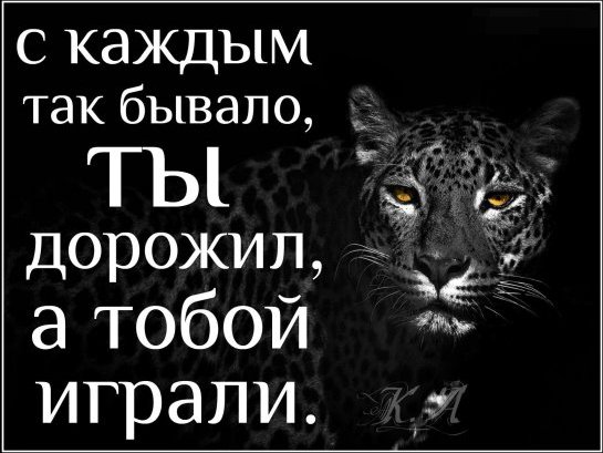 IMG 20160504 221358 5