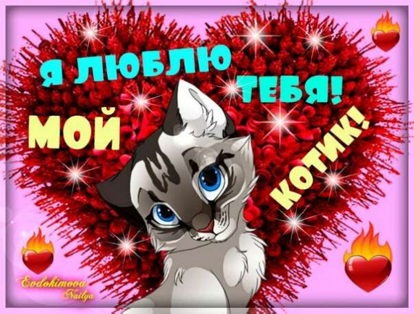 LYUBLYU TEBYAMOJ KOTIK