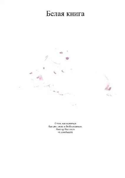 Viktor Vasilyev - Belaya kniga