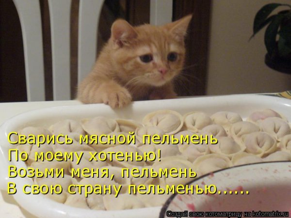file_75825014