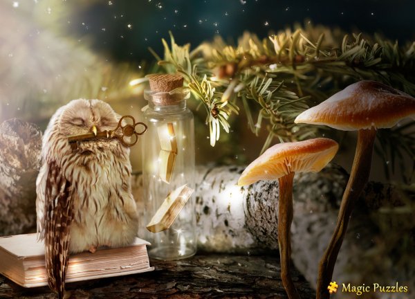 Magic Puzzles - 26 окт. 2020 015346