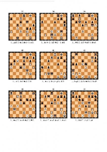 Современный шахматный решебник (2 тома)
