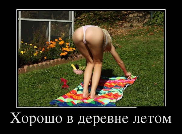 -cDpXwyLVSY