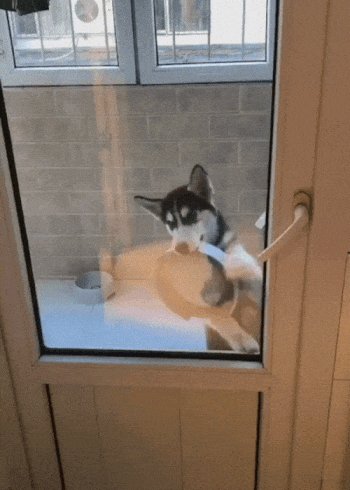 9d11b09160d3d2a1867d91710b97b24495b3d8c3c8fba771d81fbff670f5a