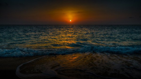 file_69610289