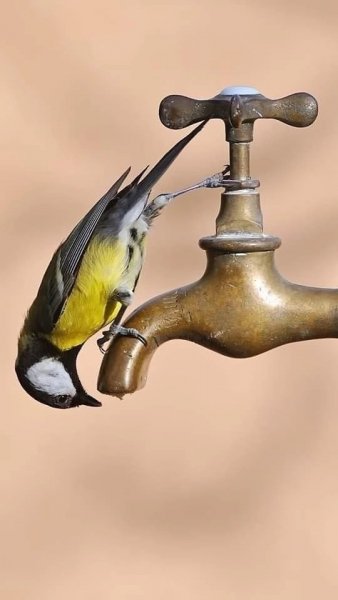 file_96628751