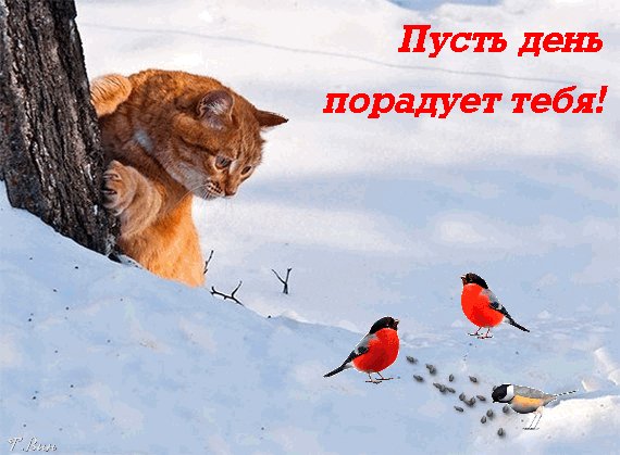 Анимированная открытка пусть день порадует