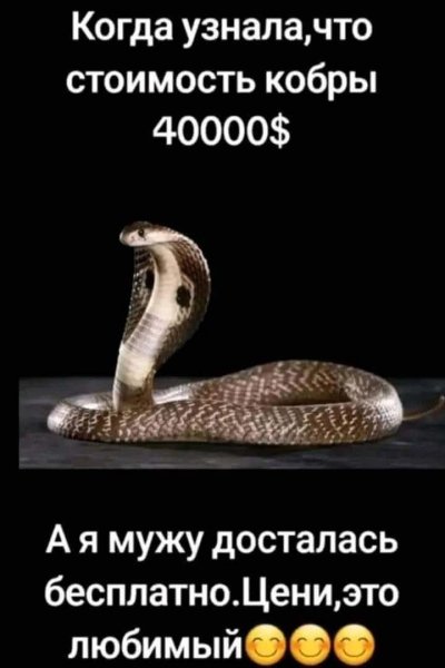 FB IMG 1777725232449