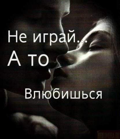 file_81223584