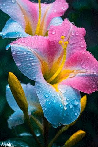 file_95698379