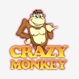 Monkey Crazy