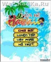 Summer Hawai67