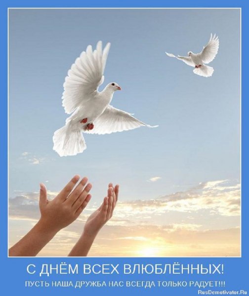 С днём всех влюбленных! (2)