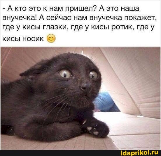 f715d4bb066651beb06b379ff8faedc3b78ab71 1