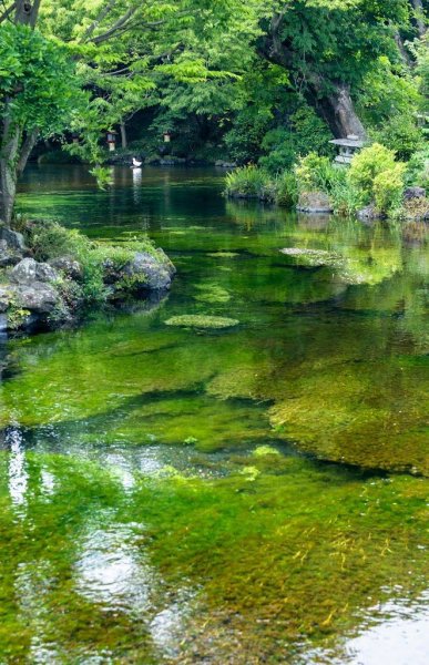 e550a1c99c89d2bf7b8b662907fdf