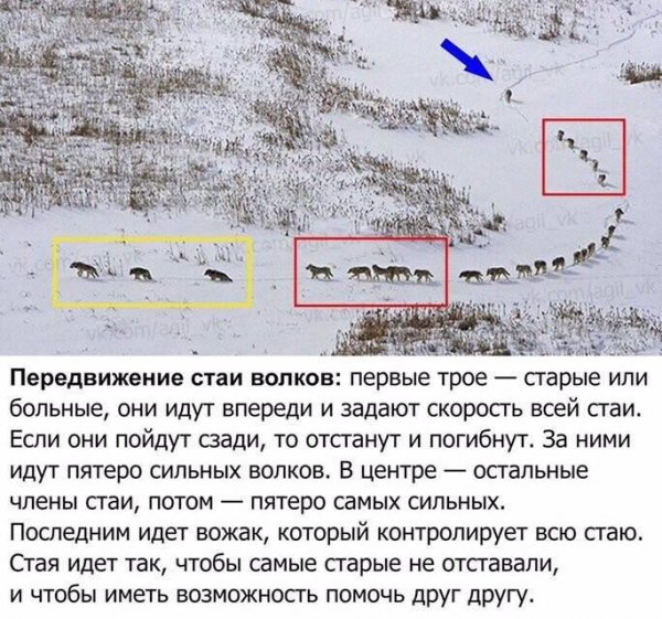 Знаете ли вы