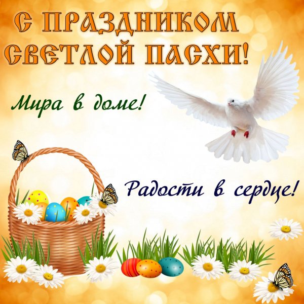 file_84186432