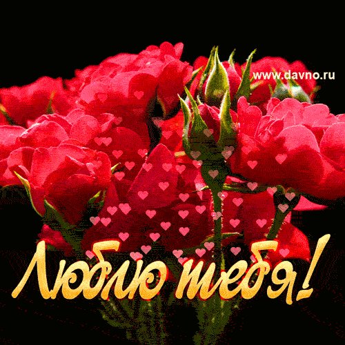 f1e854821cfbba38e95f6992fa66e