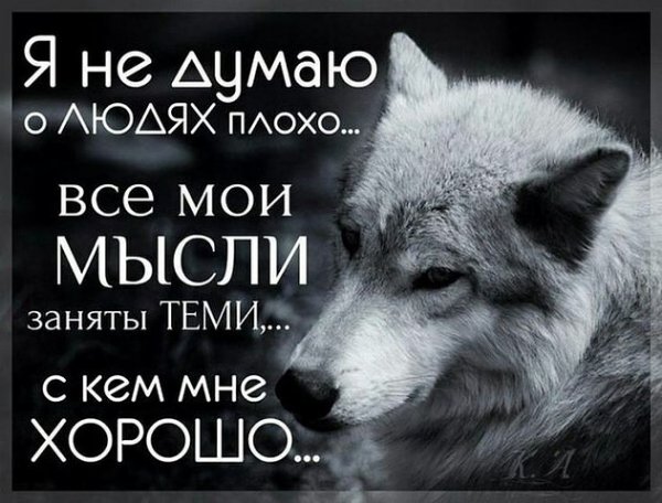 Волк